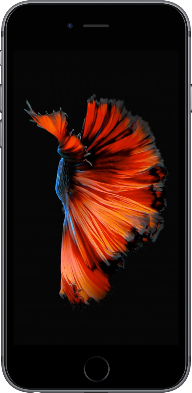 iPhone 6S Plus