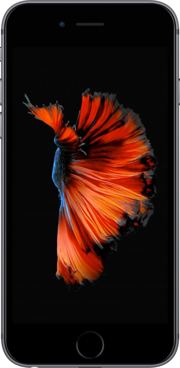 iPhone 6S